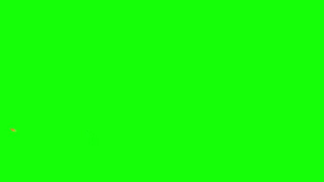 Spark effect animation captures a bright burst of energy on a green screen that allows for easy removal and placement into complex video sequences needing dynamic and energetic visual flair.