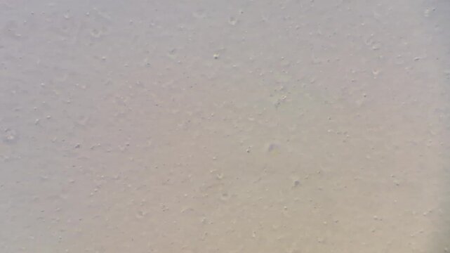 Microscopic view of skimmed microfiltered milk with casein particles texture 