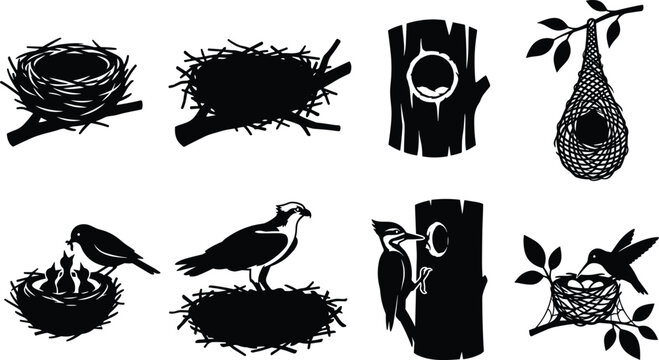 Bird nest vector silhouette set featuring avian homes tree hollows woven hanging nests woodpecker and feeding chicks graphic elements