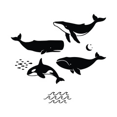 Set of black silhouettes of whales and orca with fish and moon on white © ADURI