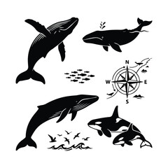Set of black silhouettes of whales and orcas with compass and school of fish © ADURI