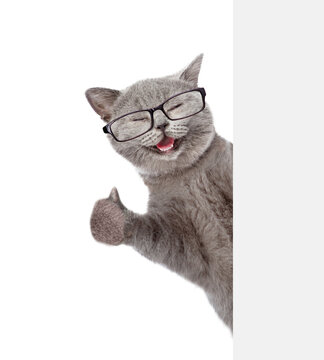 Happy cat wearing eyeglasses looking from behind blank white banner and showing thumbs up gesture. isolated on white background. Empty space for text