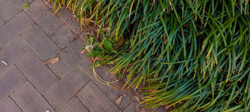 Textured Pavement and Vibrant Green Groundcover Meeting in an Outdoor Setting