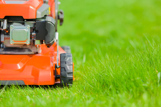New clean orange lawn mower on green grass at home yard in sunny summer day. Closeup. Empty place for text. Front view.