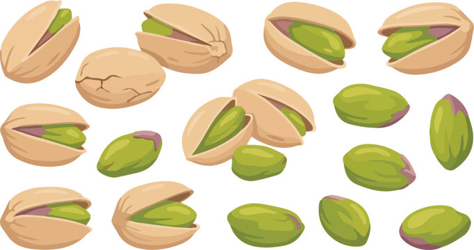 Pistachio Nuts Set Shelled and Cracked Organic Food Illustration