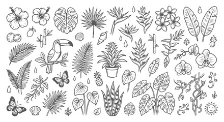 Fototapeta premium Tropical botanical line art collection, hand drawn exotic jungle leaves and flowers vector set, black and white floral elements for summer design