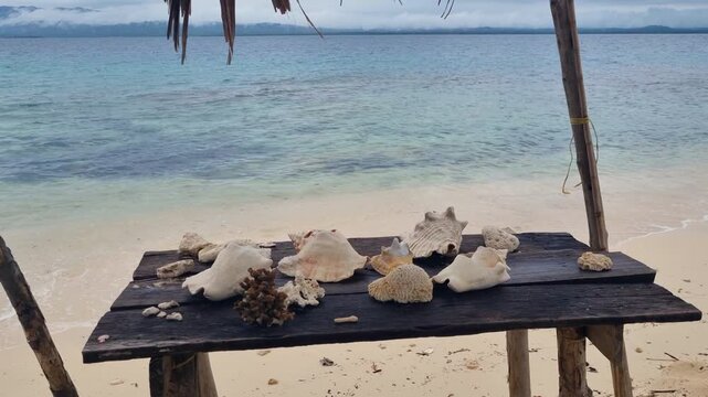 Large white seashells and conch shells rest on a wooden table on Iguana Island in the San Blas Archipelago, Panama, with a sandy Caribbean beach and gentle turquoise waves in the tropical paradise