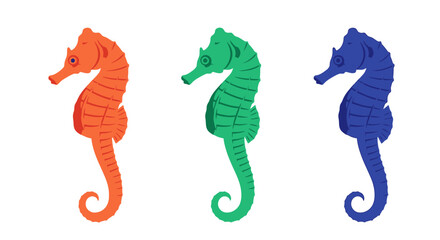 Colorful Seahorse Vector Illustration Set © Exotic
