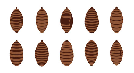 Set of ten brown striped insect chrysalis or pupa icons © Exotic