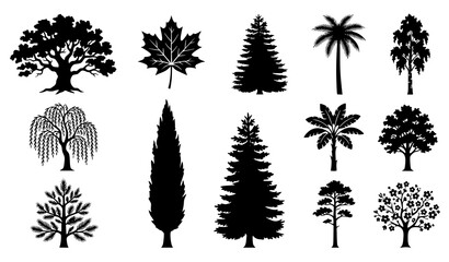 Fototapeta premium Tree Silhouette Collection with Deciduous Evergreen and Tropical Species Isolated on White Background Vector Set