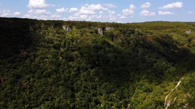 Aerial tracking shot of forested ridge gliding along canyon rim over dense tree canopy in afternoon light across valley landscape