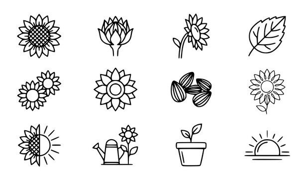 Sunflower Bloom and Garden Flower Outline Icons Collection Isolated on White Background Botanical Illustration Set