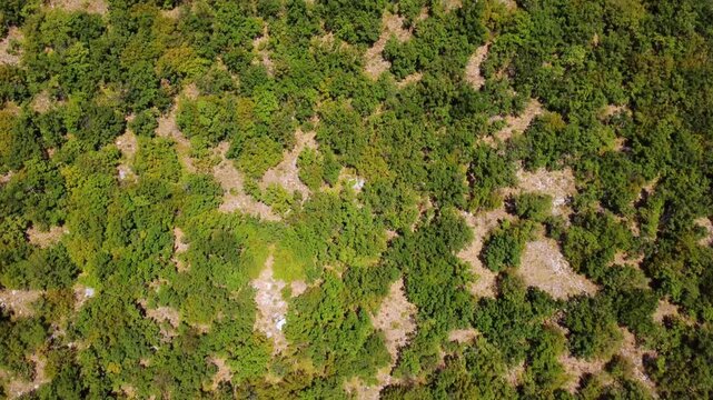 Aerial tracking shot gliding over forested hillside revealing limestone cliff face in mountain canyon during afternoon