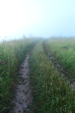 road in the fog