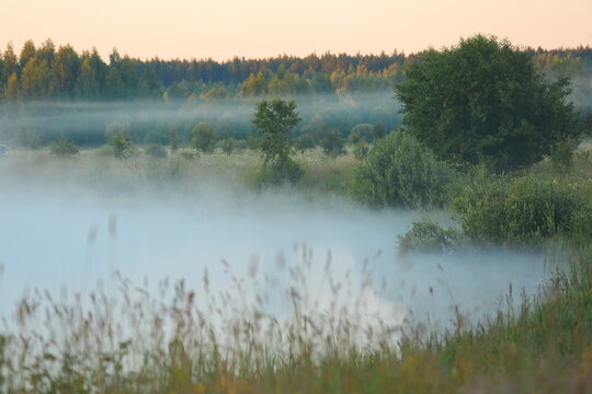morning on the lake