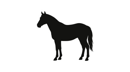 Fototapeta premium Black Silhouette of a Horse Standing on White Background - Vector Illustration