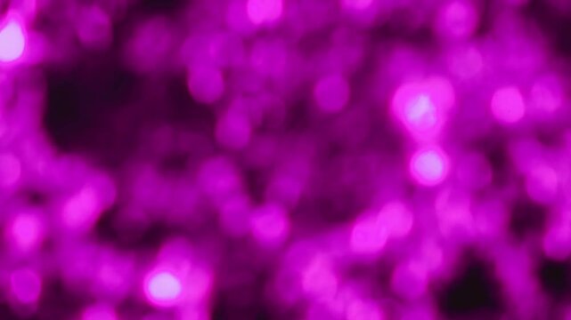 Footage of Abstract Blurred Sparkling Electric Purple Illuminated Decorative Lights