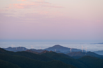 Obraz premium Wind Turbine Farm on a Forested Mountain Ridge at Blue Hour. Wind turbines generate clean renewable energy.