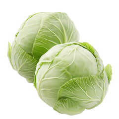 Obraz premium Two fresh green cabbages displaying detailed leaf structures and textures isolated on white background
