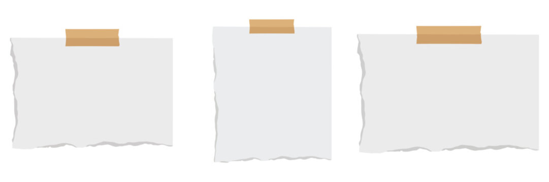 White torn paper post it notes, isolated memo sheets with copy space for reminders, messages, stationery, office and presentation design