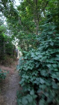Walking down the scenic dirt path past dry summer grass and lush green trees toward a beautiful country house with a prominent red roof. Amazing cinematic stock shot in 4K 24fps with Motion Blur.