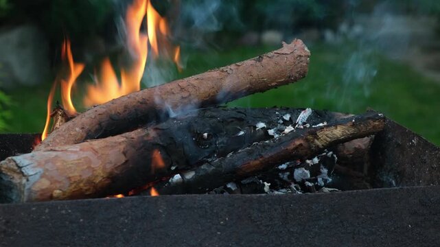 Firewood is burning in barbecue grill