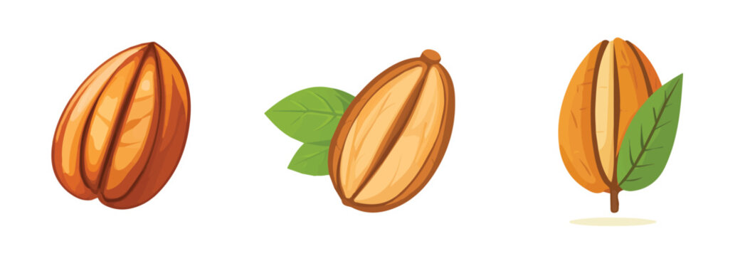 A Minimalistic 2D flat icon featuring a bunch of pecans, clean vector design, simple illustration style, isolated on a white background, modern element in vector and EPS formats. simple design
