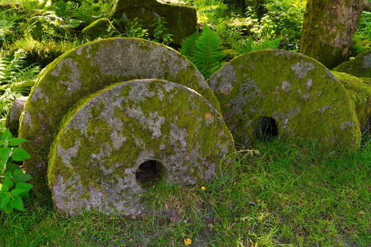 Abandoned moss covered millstones in Bolehill Quarry.