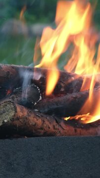 Vertical video. Firewood is burning in barbecue grill.