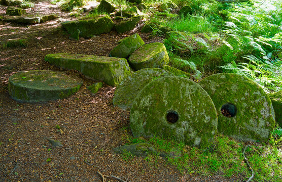 Discarded moss covered millstones in Bolehill Quarry, Hathersage.