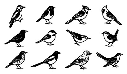 North American Songbirds and Backyard Birds Vector Icon Set with Cardinal, Blue Jay, Chickadee, Woodpecker, and Wildlife Illustrations © Abddulah
