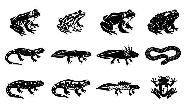 Amphibian and Wetland Wildlife Icon Set with Frogs, Toads, Salamanders, Newts, Axolotl, and Biological Nature Vector Illustrations