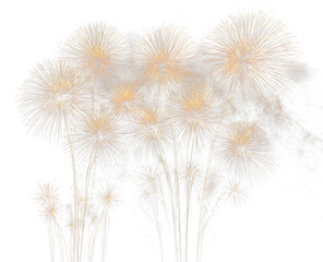 Obraz premium Bright golden firework explosion for holiday party PNG