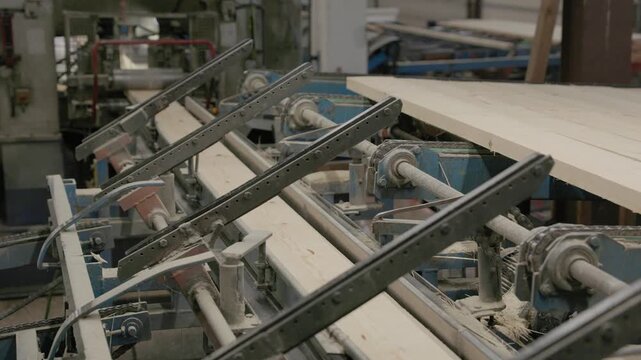 Long wood planks moving through automated conveyor machinery in an industrial woodworking factory