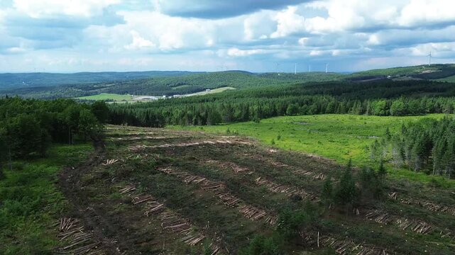 Flying over a deforested area