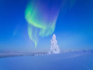 Night landscape of aurora borealis over a winter forest. Green northern lights glowing in the starry sky above snow-covered fir trees. Scandinavian winter nature with polar lights and stars. © biletskiyevgeniy