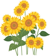 Fototapeta premium Bright Sunflower Bouquet Design
