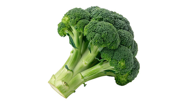 Fresh green organic broccoli floret vegetable health food item isolated on transparent background cut out