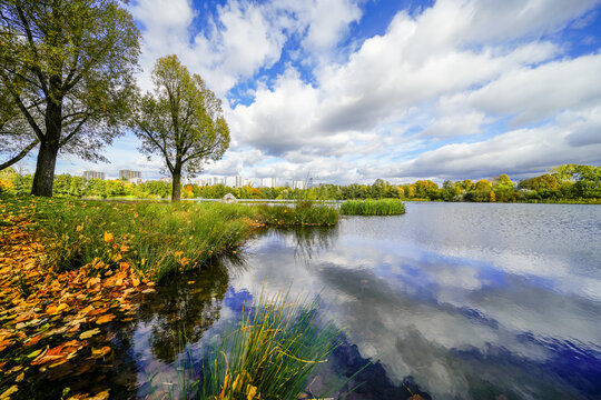 View of Vogelstangsee near Mannheim and the surrounding green landscape. Nature by the lake.

