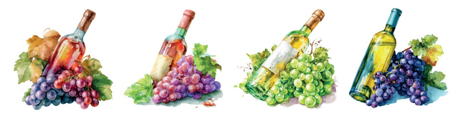 Obraz premium Watercolor illustrations portraying various wine bottles alongside vibrant red. Purple. And green grapes with lush leaves