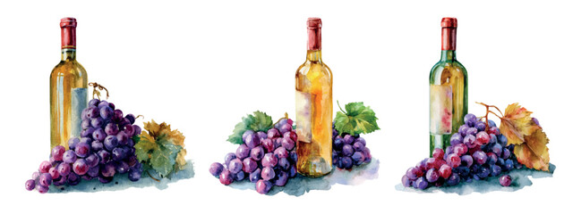 Obraz premium White wine bottles and fresh clusters of purple grapes, showcasing the art of winemaking and viticulture, representing a still life watercolor illustration on white background