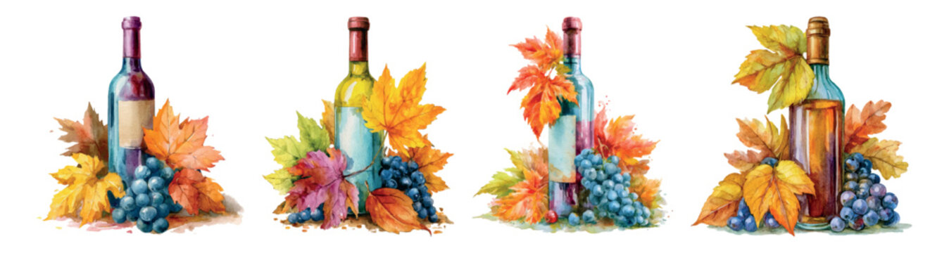 Wine bottles with purple grapes and colorful autumn leaves, watercolor style illustration depicting harvest season, viniculture, and fall traditions against a white background