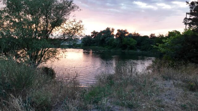 A peaceful river landscape at twilight, with a pink sunset sky reflecting upon the calm water, surrounded by green trees and dry grass. Beautifully captured in stunning 4K 24fps with Motion Blur.