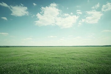 Obraz premium Wide Landscape with Green Meadow and Blue Sky with Light Pastel Tones and Beautiful Soft Horizon