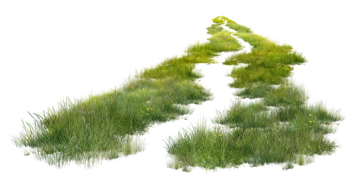 christmas tree isolated on white/Ultra-high-resolution sharp green grass path isolated on a pure white background. Perfect for architectural visualization, rendering, and landscape design elements.