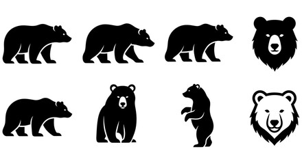 Fototapeta premium Black Silhouette Bear Shapes Collection Various Poses And Head Portraits