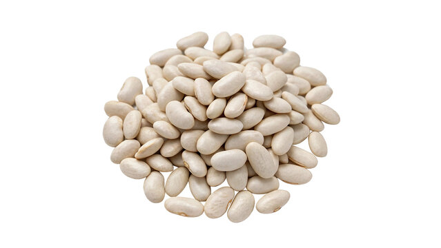 A pile of organic raw white kidney cannellini beans isolated on transparent background