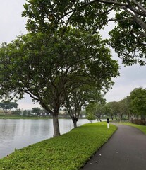 Naklejka premium Asphalt jogging track and pathway by the lake in a green park