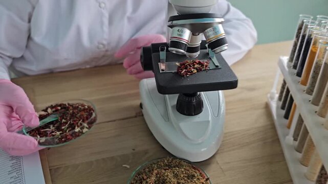 Scientist uses microscope to study different spices and herbs in lab setting