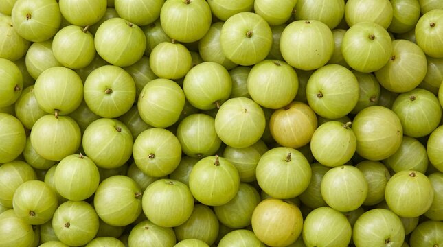 A vibrant overhead close-up of a large pile of fresh green Indian gooseberries also known as amla fruit with visible stems and smooth round surfaces